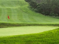 WATCH: Canadian Golfers Brawl in Wild, Bloody Melee