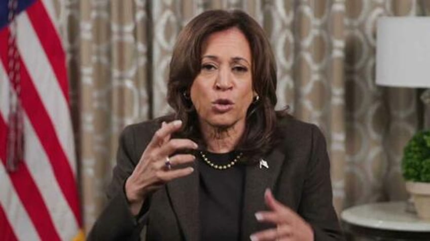 watch disheveled drunk kamala speaks for first time since conceding to trump