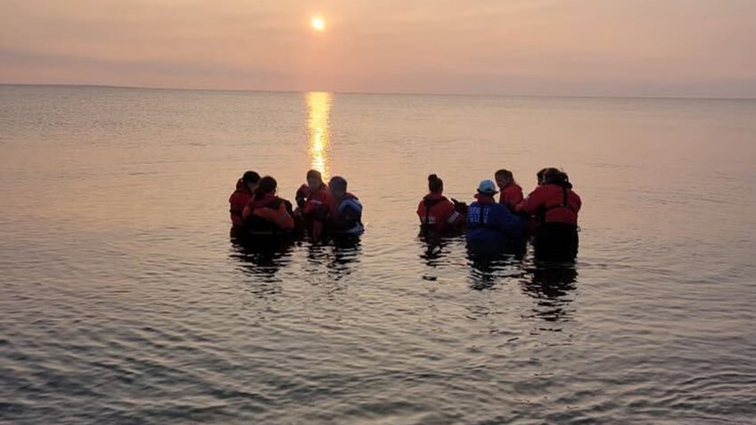 watch dolphins rescued from shallow massachusetts river are returned to ocean