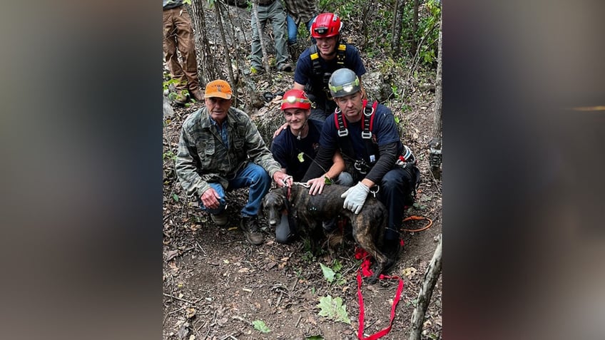 watch dramatic rescue of trapped tennessee dog named charlie just 5 feet below bear in deep cave