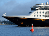 WATCH: ‘Father of the Year’ Dives Off Cruise Ship to Rescue Child Who Fell Overboard