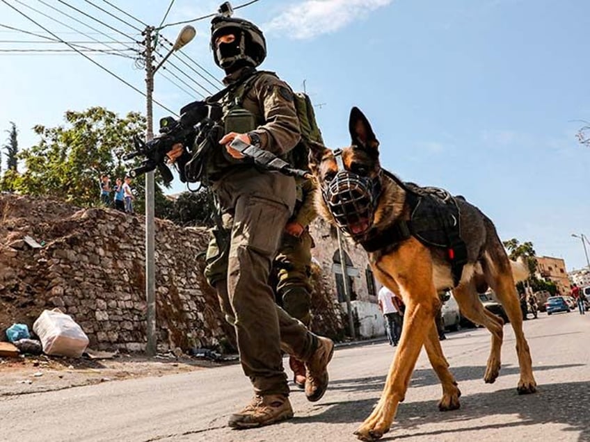 watch idf sends attack dogs into hamas terror tunnels