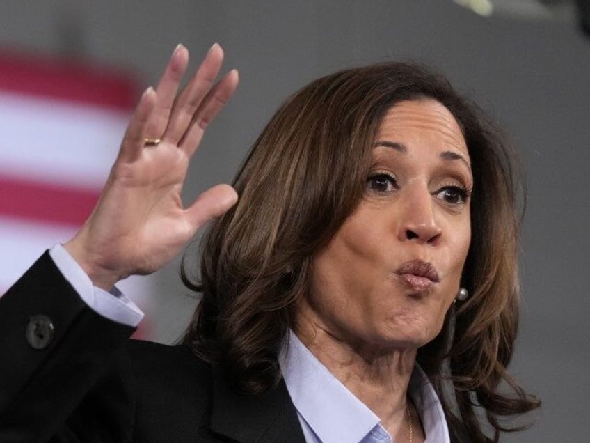 Democratic presidential nominee Vice President Kamala Harris speaks at a campaign event at