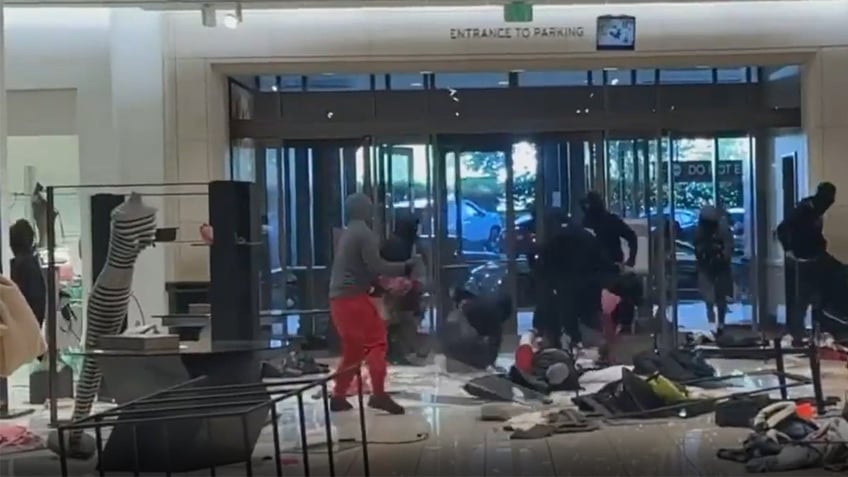 watch masked thieves swarm blue state macys as stunned shoppers look on