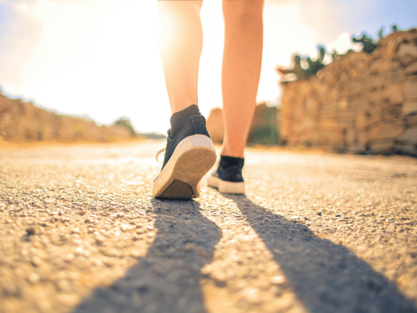 Woman Walking on Pathway Under The Sun