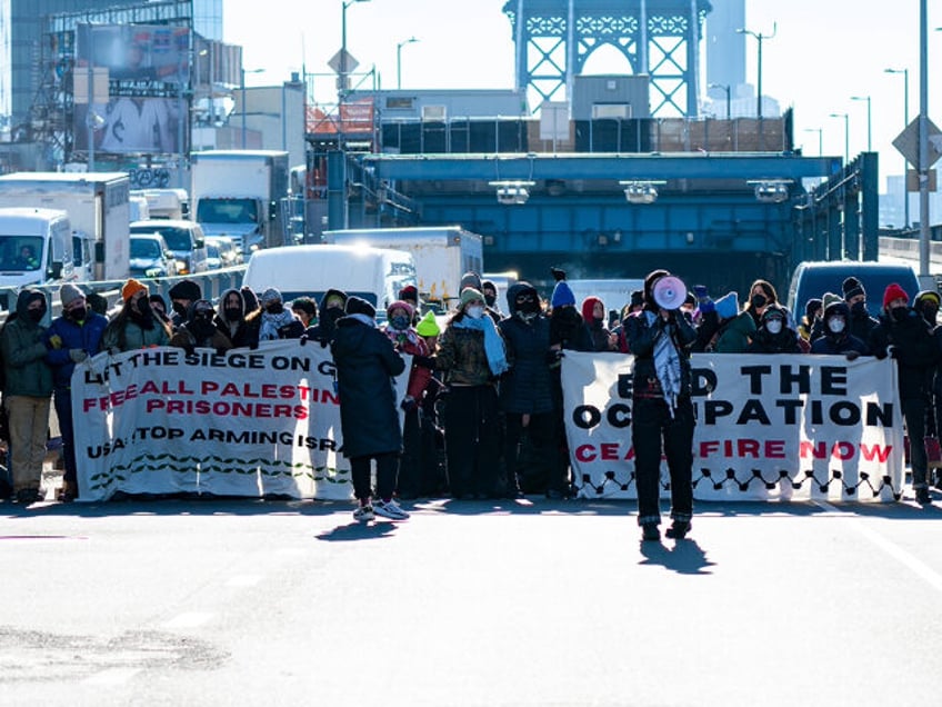 Pro-Palestine New York