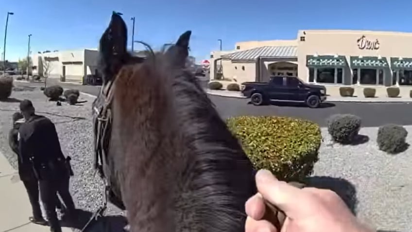 Suspect being arrested