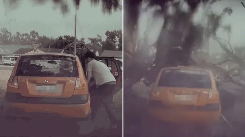 Split image of car getting destroyed from tree