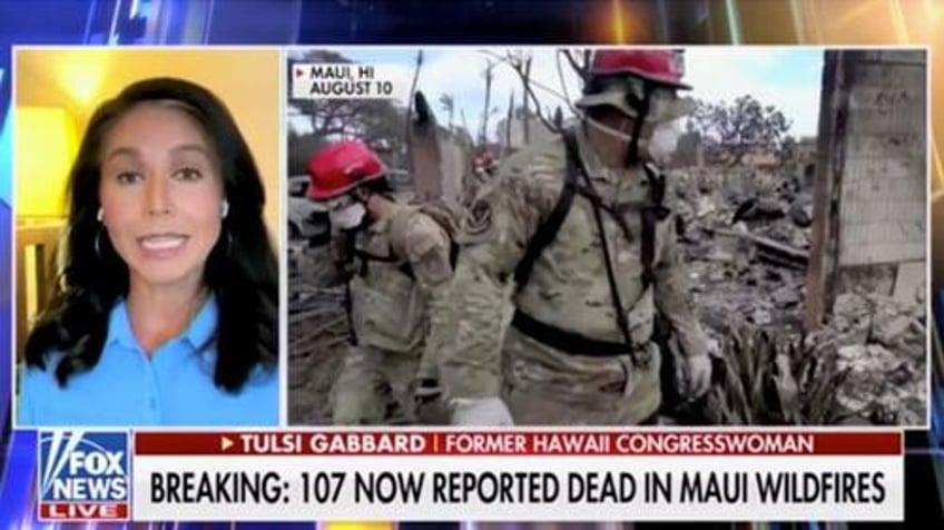 watch tulsi gabbard blasts biden admins horrible response to maui disaster