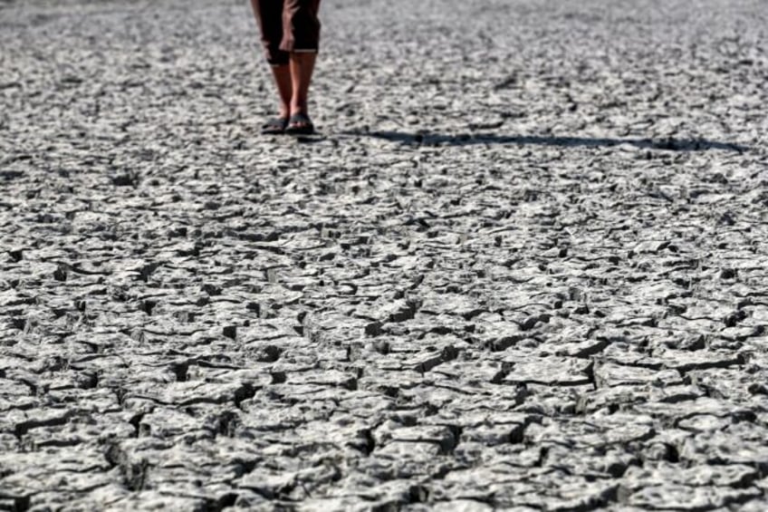 water stressed iraq dries up fish farms