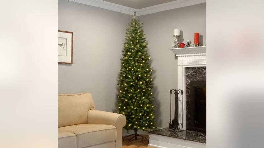 This tree fits in any corner of your home.