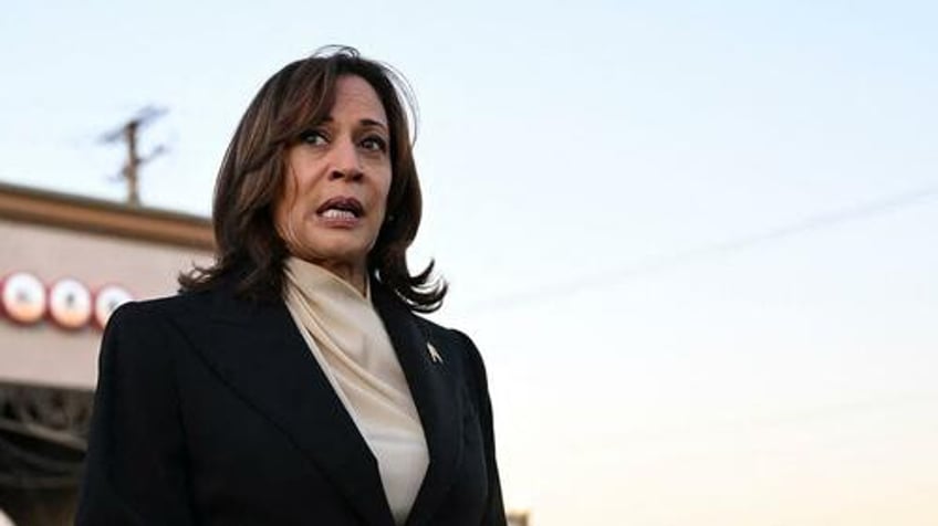 we have her underwater michigan lawmaker admits dire internal polling for kamala harris