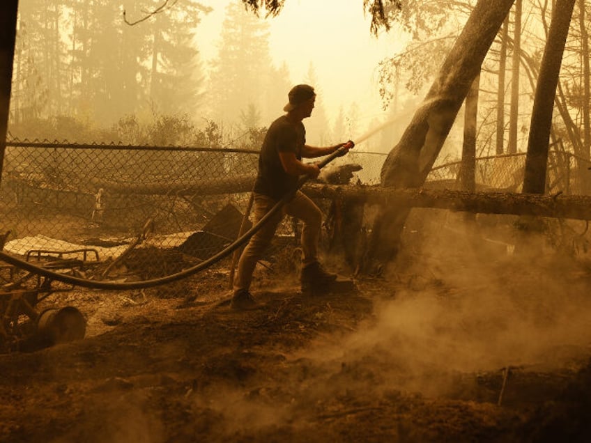 we refuse to watch things burn canadians steal firefighting gear as justin trudeau yells at facebook