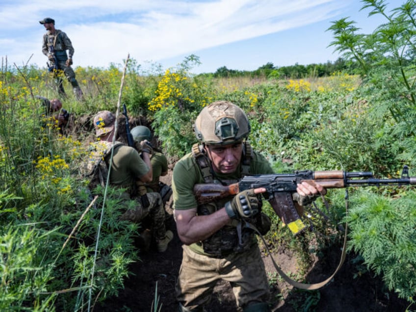 weeds and undergrowth hindering ukrainian counteroffensive says uk