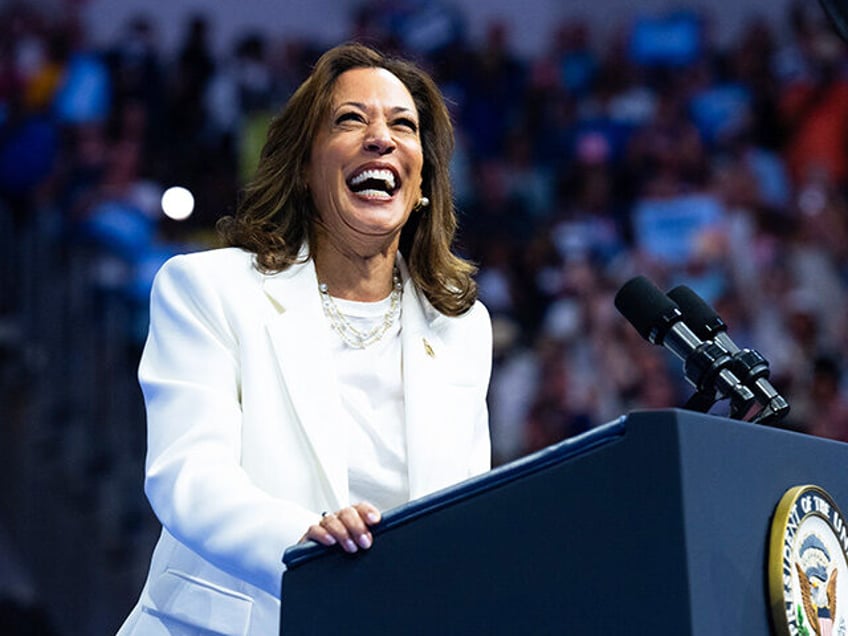 Democratic Presidential candidate US Vice President Kamala Harris speaks at a campaign ral