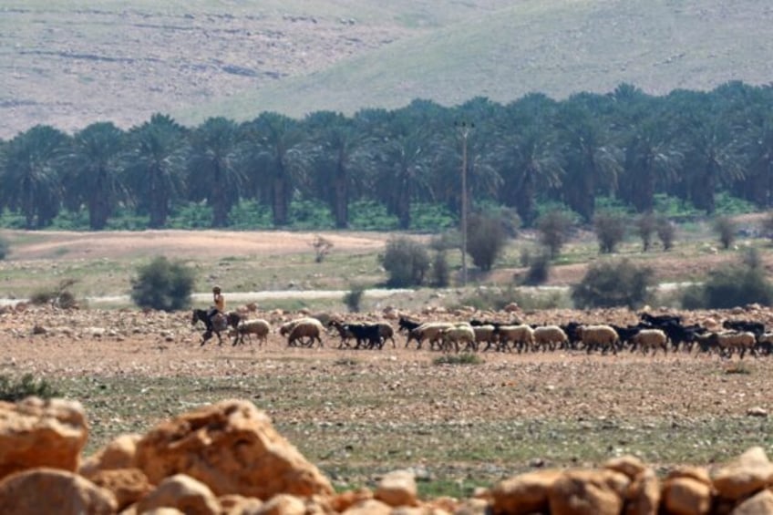 Throughout the Gaza war, violence in the West Bank -- a separate Palestinian territory --