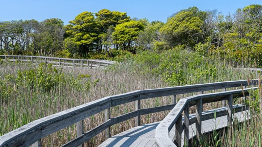 Watch Hill at Fire Island National Seashore