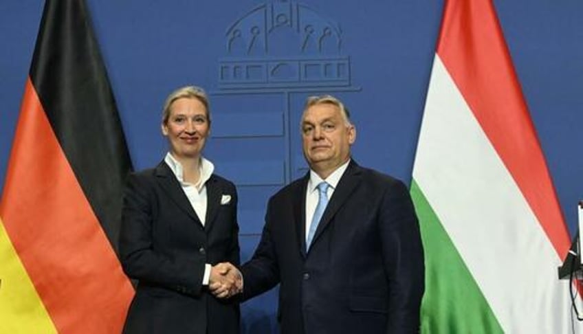 what the hell is going on in germany hungarian pm orban trashes germanys tyrannical move against afd party