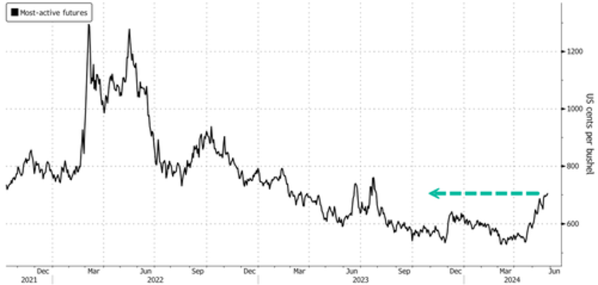 wheat jumps to nine month high on fears of dwindling global stockpiles