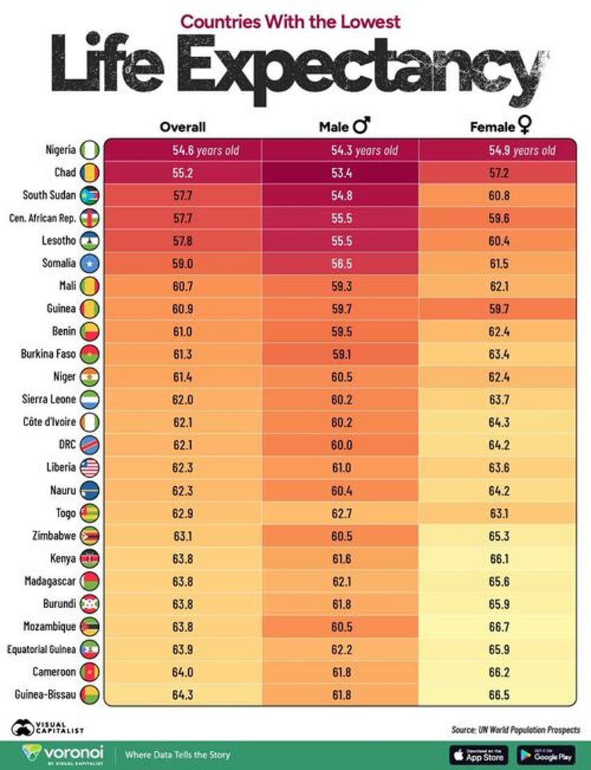 which countries have the lowest life expectancy
