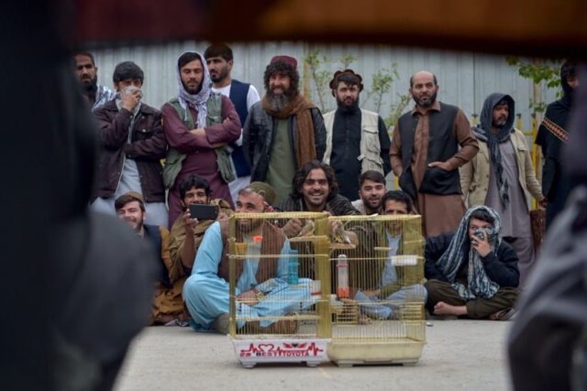 The Afghan obsession with birds runs deep, with bird-related hobbies enjoyed across ages,