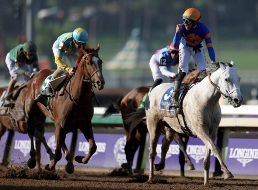 white abarrio wins breeders cup classic