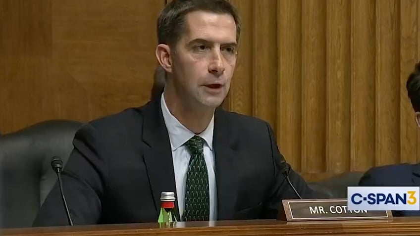 Cotton during Senate hearing