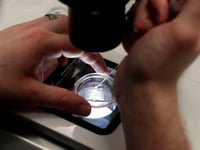 White House says Trump is reviewing IVF policy recommendations promised in executive order