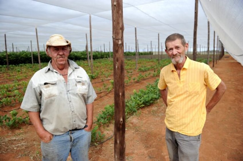 Some Afrikaner farmers fear their land will be expropriated by the government as happened