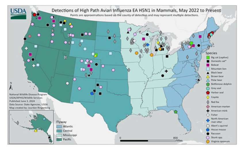 who confirms bird flu death in mexico as trust the science experts want to test americas 40 million cows