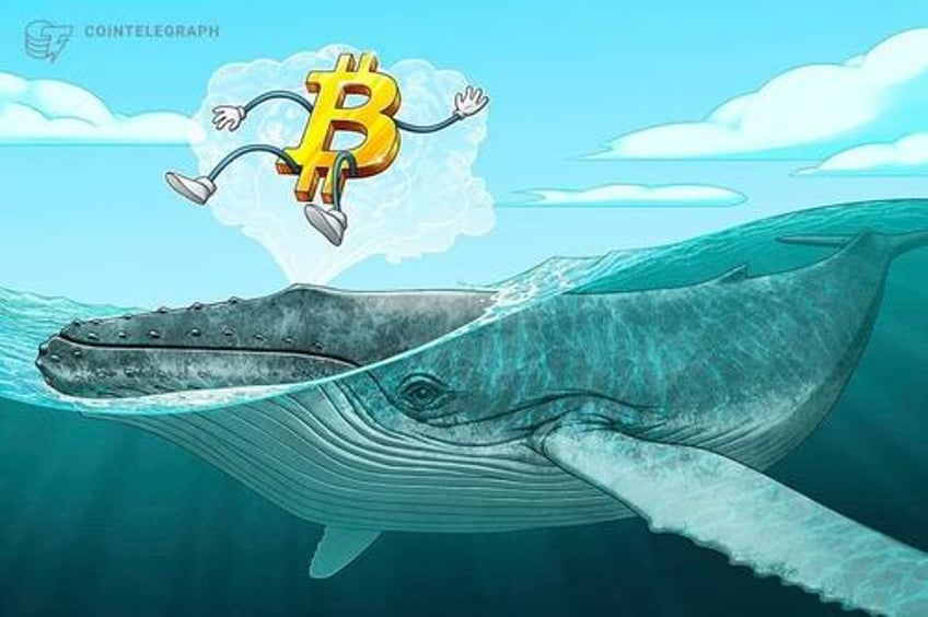 who is mr 100 mysterious bitcoin whale becomes 14th biggest btc holder