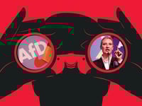 Why Is The Secret German Spy Report On The AfD Party Only Filled With Public Statements?