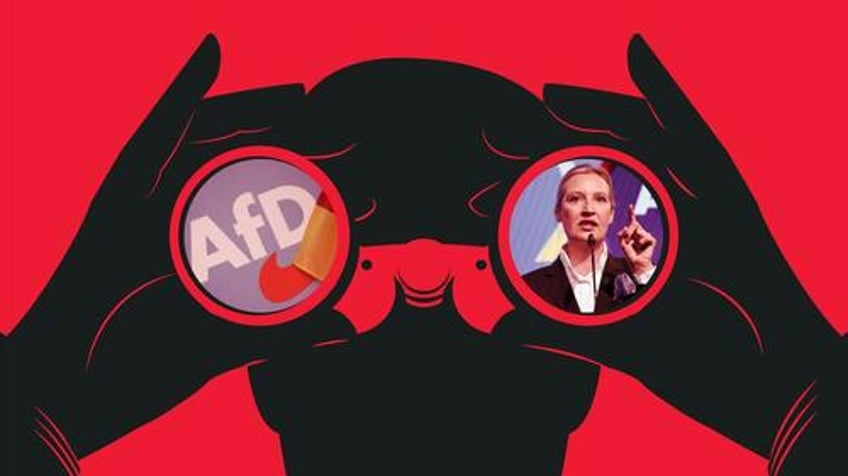why is the secret german spy report on the afd party only filled with public statements