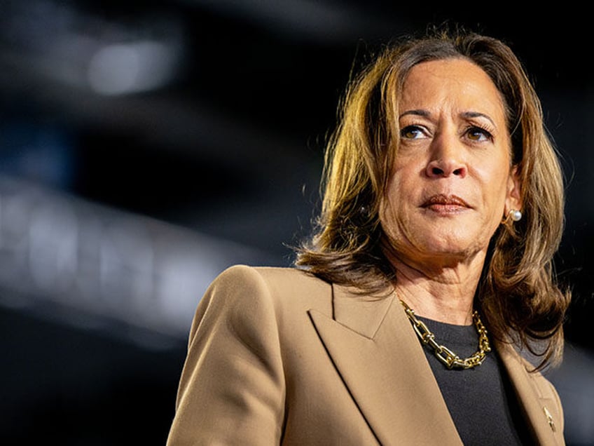 Democratic presidential nominee, Vice President Kamala Harris pauses while speaking during