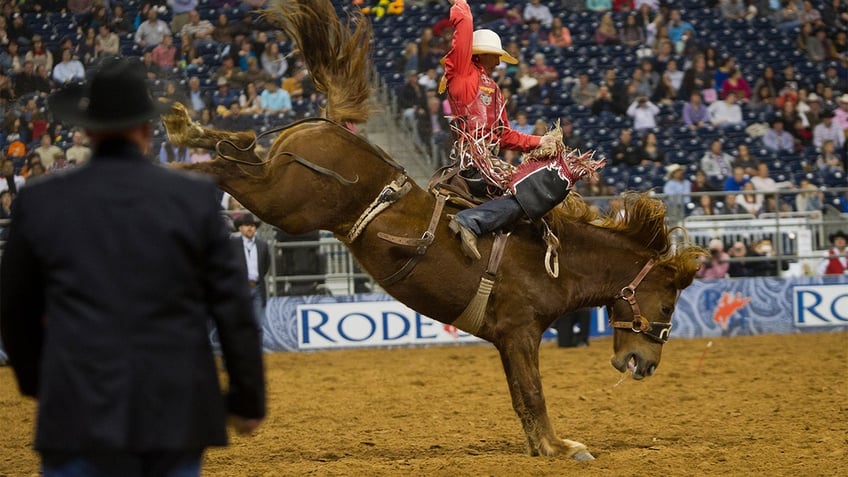 Spencer Wright rodeo performance