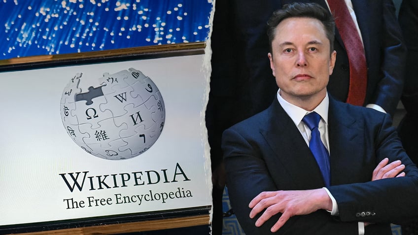 Elon Musk, Wikipedia