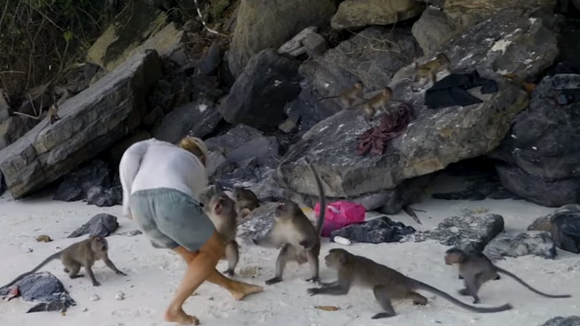 man trying to scare off monkeys