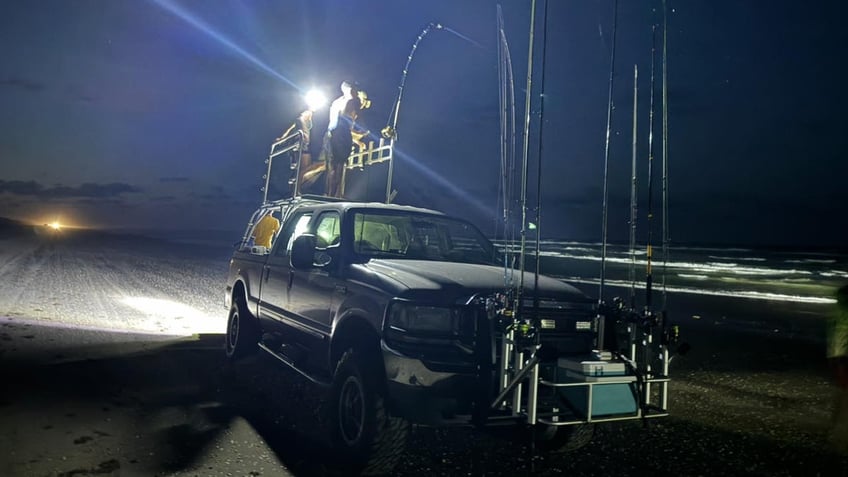 TRUCK IN PURSUIT OF HAMMERHEAD SHARK