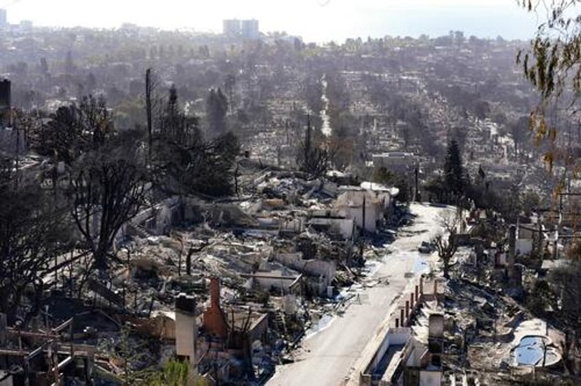 wildfire woes california regulators halted palisades fire prevention project to save rare shrub