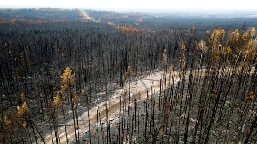 wildfires have burned a record amount of area in the canadian province of british columbia