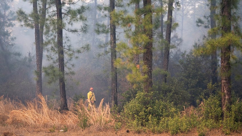 Firefighters battle a blaze in the Carolina Forest neighborhood on March 2, 2025 in Myrtle Beach, South Carolina. Multiple forest fires in the area have caused evacuations along the South Carolina coast.