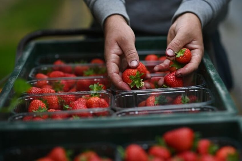 Strawberries are a staple at Wimbledon