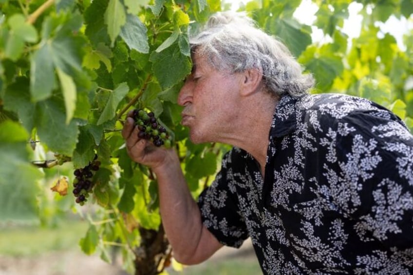 John Ashworth at his Junction vineyard