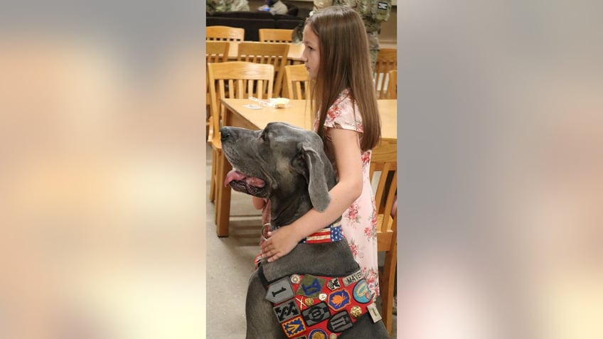 winner winner american humane announces its 2023 hero dog award recipient