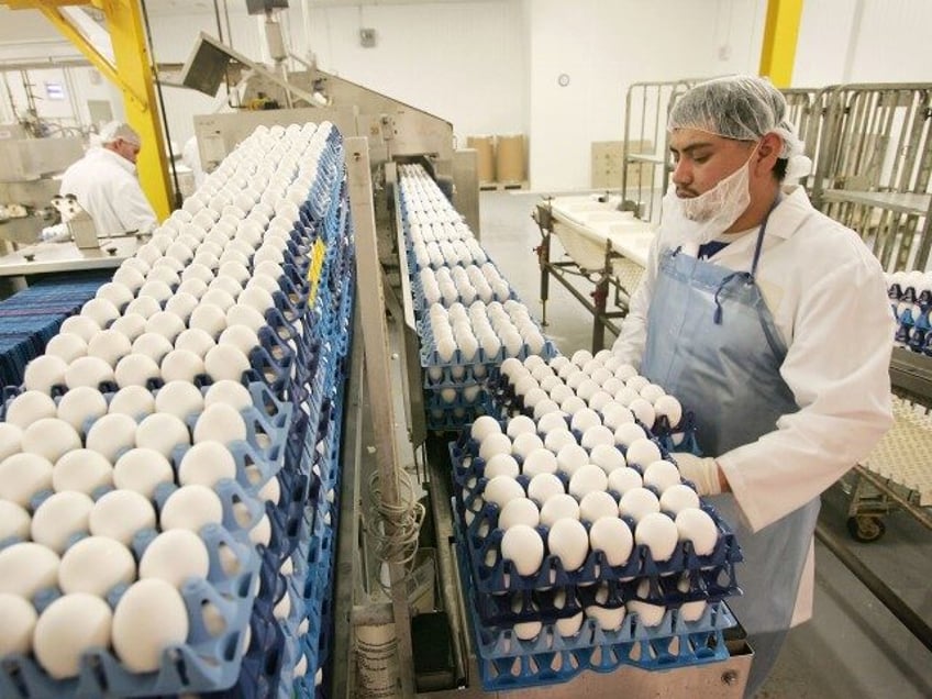 Oscar Valdez loads pasteurized eggs onto a conveyer belt where they are transported for in