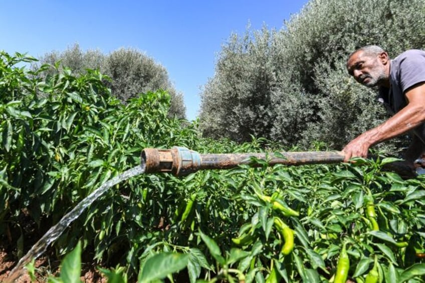 A dam built by a woman farmer in a Tunisian village has turned her into a local hero after