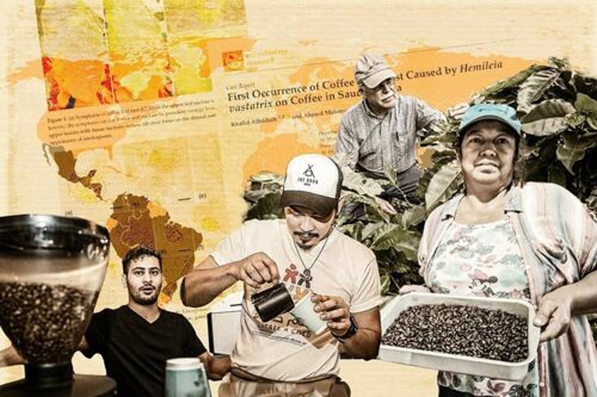 with global coffee production under threat farmers seek new solutions