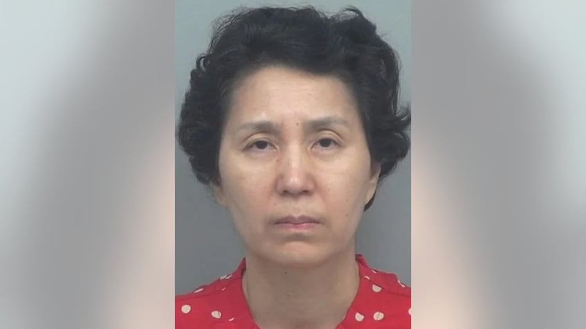 Mihee Lee mugshot