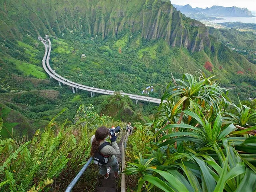 woman and dog rescued from stairway to heaven trail in hawaii