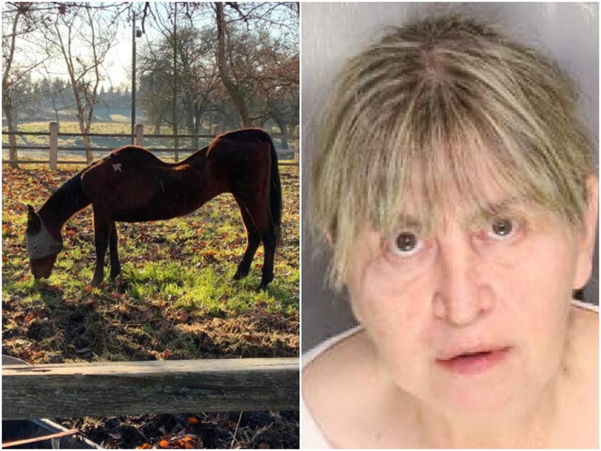 A California woman was arrested on Wednesday after 27 dead horses were found across multip